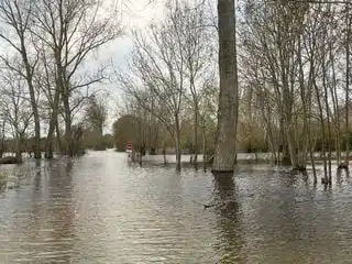 découvrez les prévisions météo pour lyon le 1er octobre 2024. informez-vous sur les températures, les précipitations et les conditions climatiques de cette journée. restez préparé pour votre sortie à lyon avec les dernières mises à jour météo.