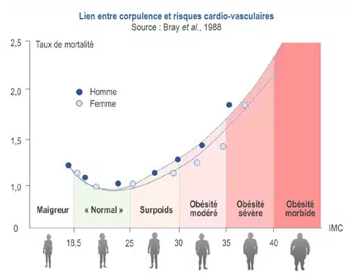 découvrez les statistiques et analyses sur la mortalité à lyon, un aperçu des tendances démographiques, des causes de décès et des initiatives locales en matière de santé publique.