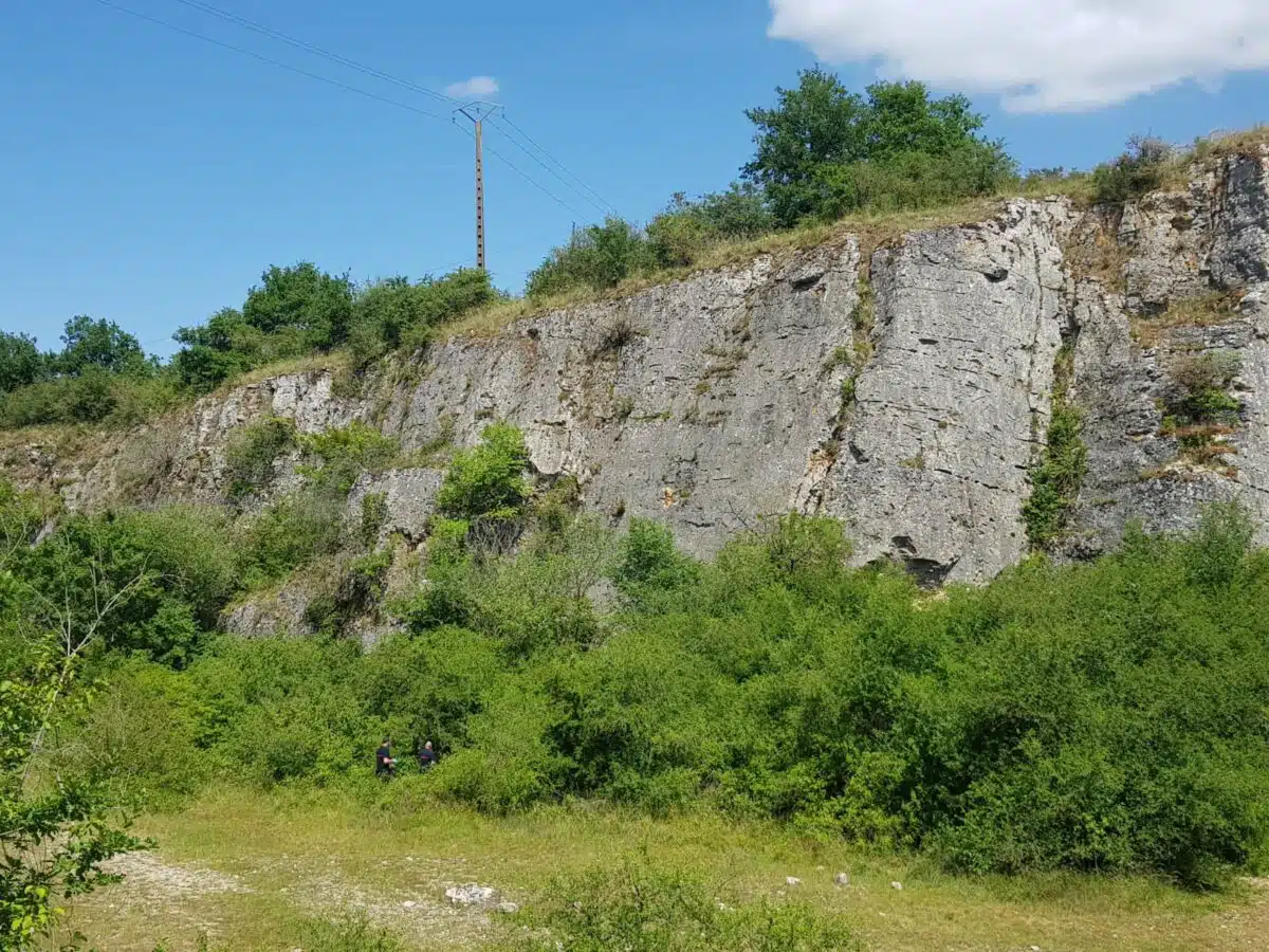 découvrez les dangers de l'escalade à travers l'étude des chutes mortelles, leurs causes et comment les éviter. partez à la découverte des précautions essentielles pour pratiquer ce sport en toute sécurité.