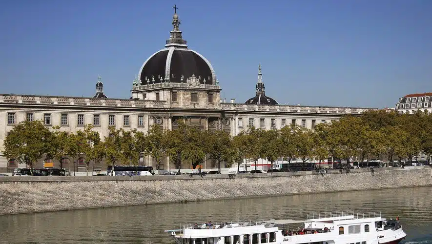 découvrez l'histoire captivante d'un homme perdu à lyon, entre mystères urbains et aventures inattendues. explorez les recoins méconnus de cette belle ville et suivez son parcours émouvant dans cette quête d'identité et d'appartenance.