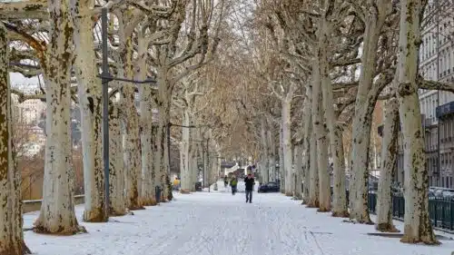 découvrez la beauté de lyon sous un manteau de neige ! explorez les paysages enneigés, les activités hivernales et l'ambiance féerique que la neige apporte à cette magnifique ville. profitez de nos conseils pour vivre pleinement l'hiver lyonnais.