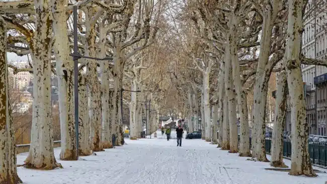 découvrez la beauté de lyon sous un manteau de neige ! explorez les paysages enneigés, les activités hivernales et l'ambiance féerique que la neige apporte à cette magnifique ville. profitez de nos conseils pour vivre pleinement l'hiver lyonnais.